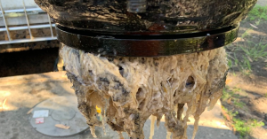 Buderim Leads Unitywater’s List Of Wastewater Blockages