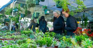 Queensland Garden Show Celebrates 42 Years with Biggest Names in Gardening